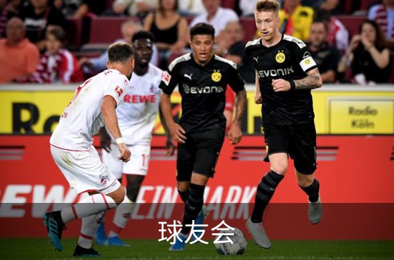 走进球友会